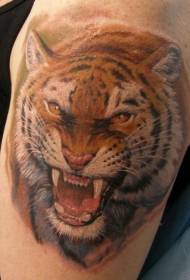 Modello tatuaggio tigre realistico spalla colore