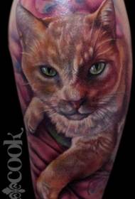 Brazo patrón de tatuaxe de retrato de gato de cor realista