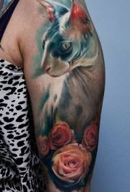 장미 문신 패턴으로 큰 팔 귀여운 현실적인 현실적인 고양이