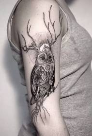 Grande búho gris negro bonito con tatuaxe antlers