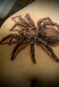 Modello di tatuaggio ragno spalla nero