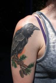大臂老學校彩色烏鴉坐在杉木分支紋身圖案