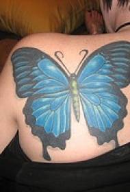 Olkapää sininen iso perhonen tatuointikuvio