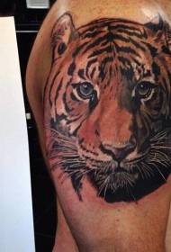 Patrón realista de tatuaxe de cabeza de tigre de cor brazo realista