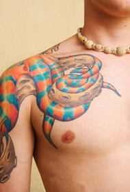 Mies olkapää väri mustekala luova tatuointi
