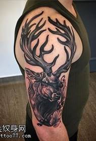 Modello di tatuaggio cervo spalla fascino