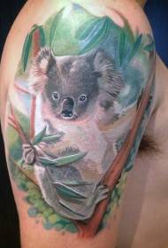 Grote arm realistische schattige koala tattoo patroon