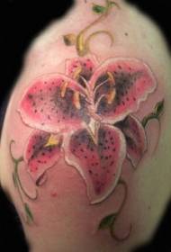 Елегантен розов модел на татуировка на лилия на раменете
