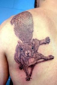 Cool veverička tetovanie na chrbte