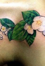 Na ramenem vzorcu tatoo z jasminom