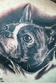 肩膀個性牛頭犬紋身圖案