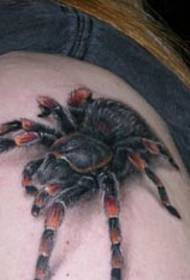 Tatuaje realista realista de araña en el hombro