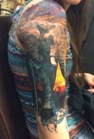 女孩大臂寫實風格寫實色彩大象紋身圖案
