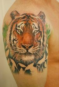 Grande bracciu di mudellu di tatuaggio di tigre di giungla realista