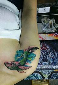 Modello di tatuaggio delfino dell'acquerello sotto la spalla
