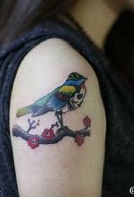 Pátrún tattoo éan ulchabháin bhuí ar an ghualainn