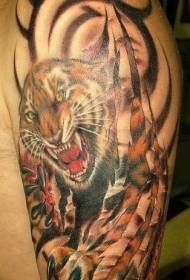 Big arm amazing tiger tattoo pattern