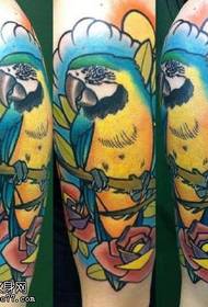 Иық попугаясы раушанның татуировкасы