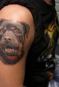 ลายสักแขนใหญ่ Rottweiler