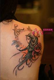 Immagine creativa del tatuaggio del pappagallo della spalla sac