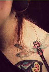 Spalle femminili alla moda belle immagini colorate del modello del tatuaggio del cranio
