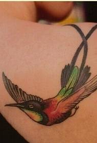 Mtindo wa tabia ya bega phoenix tattoo mfano wa picha