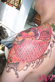 Shoulder domineering squid tattoo pictures