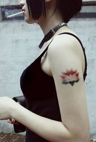 Dåliga skönhet axlar vackra vackra lotus tatuering bilder