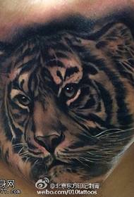 Tigre tatuaje eredua sorbaldan