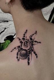 Makeer spider tattoo maitiro