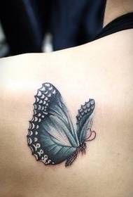 肩部一只漂亮的蝴蝶刺青