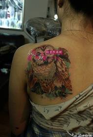 Färg uggla axel tatuering bild