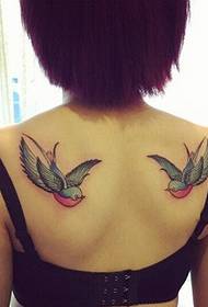 Moteriškos pečių mados išvaizdos spalvingos kregždžių tatuiruotės modelio nuotraukos