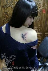 Gražus ir elegantiškas angelo tatuiruotės raštas ant gražių moterų pečių
