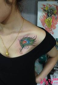 Gražus povo plunksnos tatuiruotės modelio paveikslas ant peties