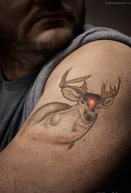 Evropska i američka ramena izgledaju dobro kao slike jelena tetovaža