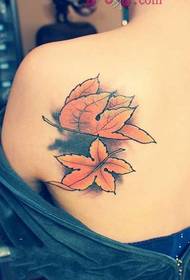 Saldajiem pleciem skaista kļavu lapu modes tetovējuma bilde
