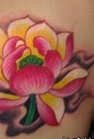 Tatuaje de loto en cor de ombreiro de beleza
