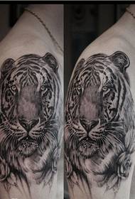 Personaliteti i modës së shpatullave u rrit tigri model modeli tatuazh