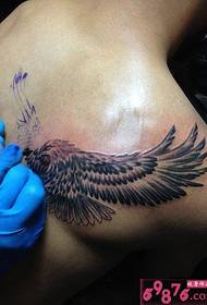 Homem costas ombro águia tatuagem operação cena foto
