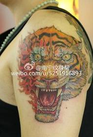 Modello di tatuaggio testa di tigre prepotente