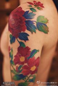 Bellissimo splendido modello di tatuaggio rosa sulle spalle