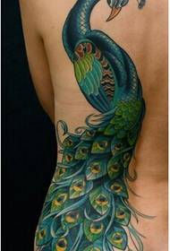 Immagine sexy del tatuaggio del pavone delle spalle della ragazza sexy bella