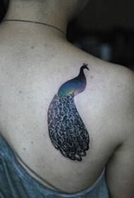Прелепа и лепа слика паунова тетоважа узорак на рамену девојчице