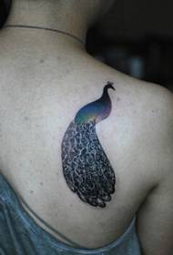 Fermoso e fermoso cadro de tatuaxe de pavo real no ombreiro dunha nena