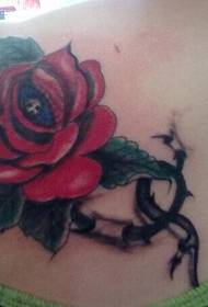 Gadis bahu HD indah tato gambar mawar yang indah