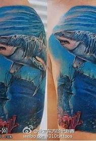 彩绘海底鲨鱼纹身图案