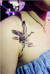 Stylish female shoulders beautiful looking crane tattoo pattern pictures