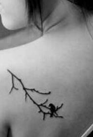 Dívky ramena krásné jednoduché větve ptačí tetování obrázky