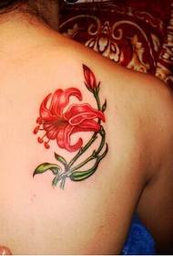 Le ragazze si autodistruggono sulle spalle bellissime immagini del modello del tatuaggio del narciso